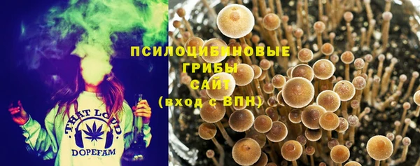 каннабис Няндома