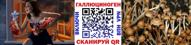 ссылка на мегу ссылки  Кашин  Галлюциногенные грибы ЛСД 